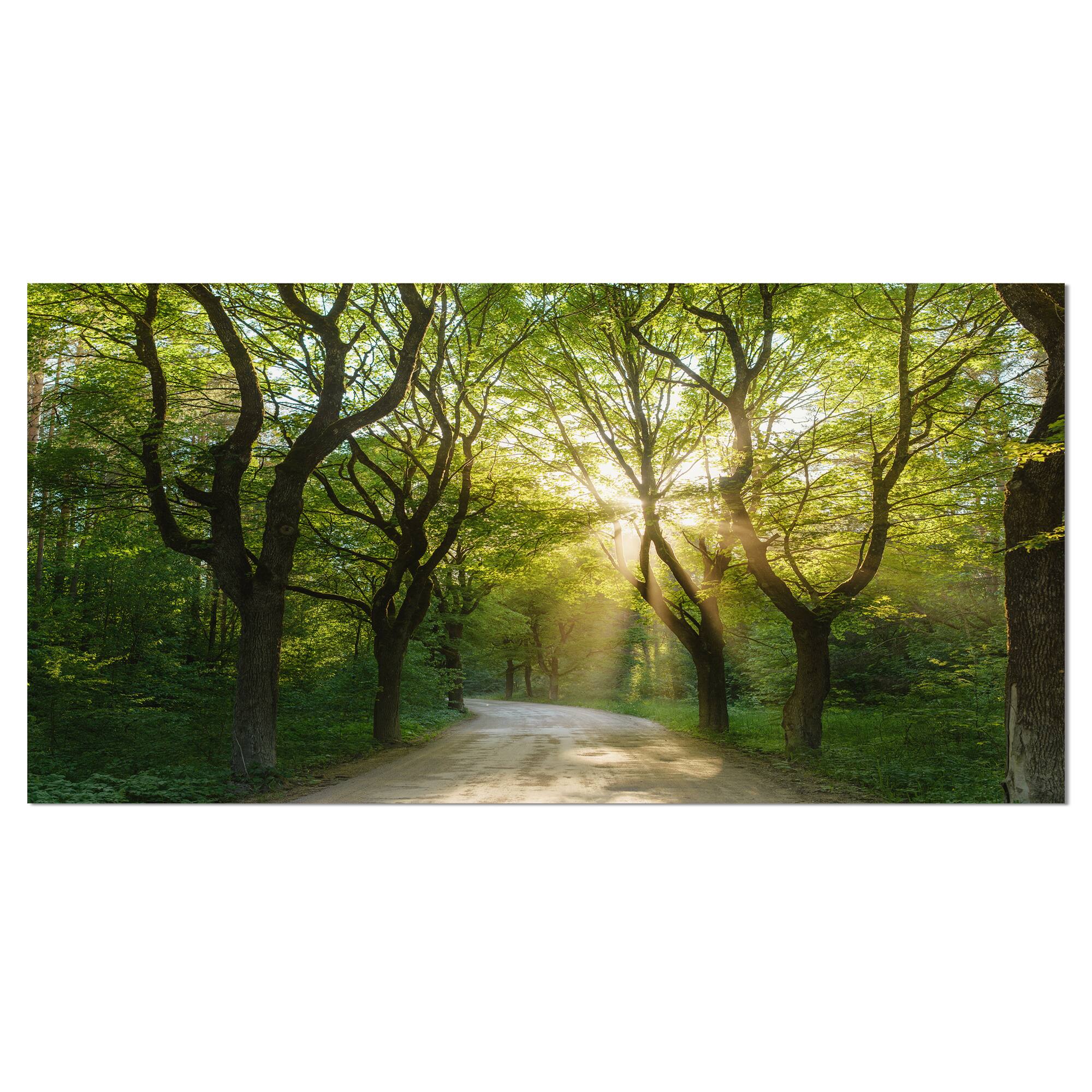 Designart - Evening in Green Forest - Large landscape Canvas Art Print